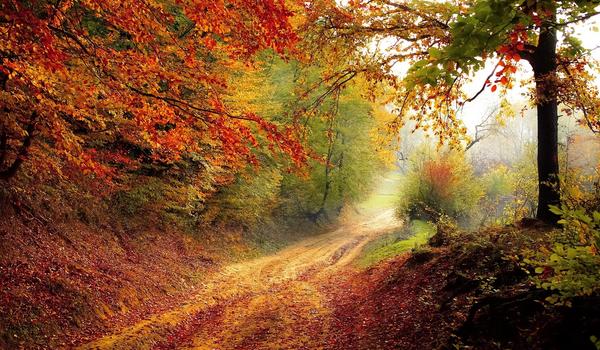 Bild vergr&ouml;&szlig;ern: Herbstferien