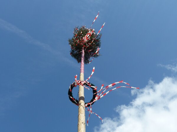 Bild vergr&ouml;&szlig;ern: Maibaum